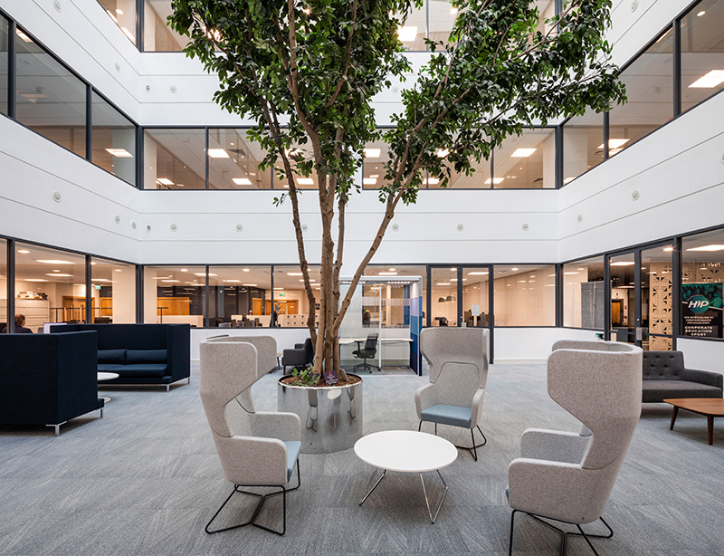 Featured Image for mclhworkspace.com