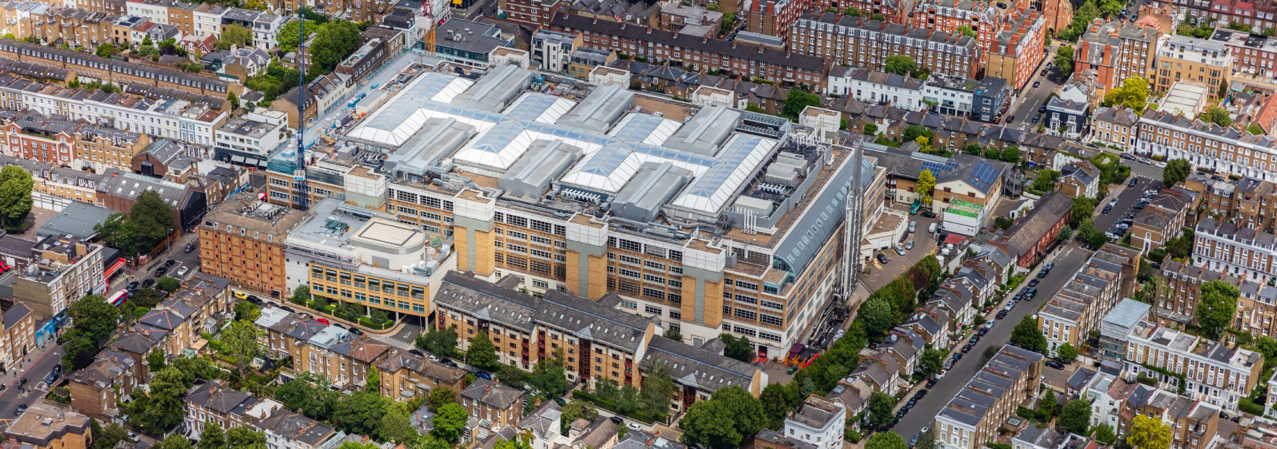 Featured Image for Healthcare Team