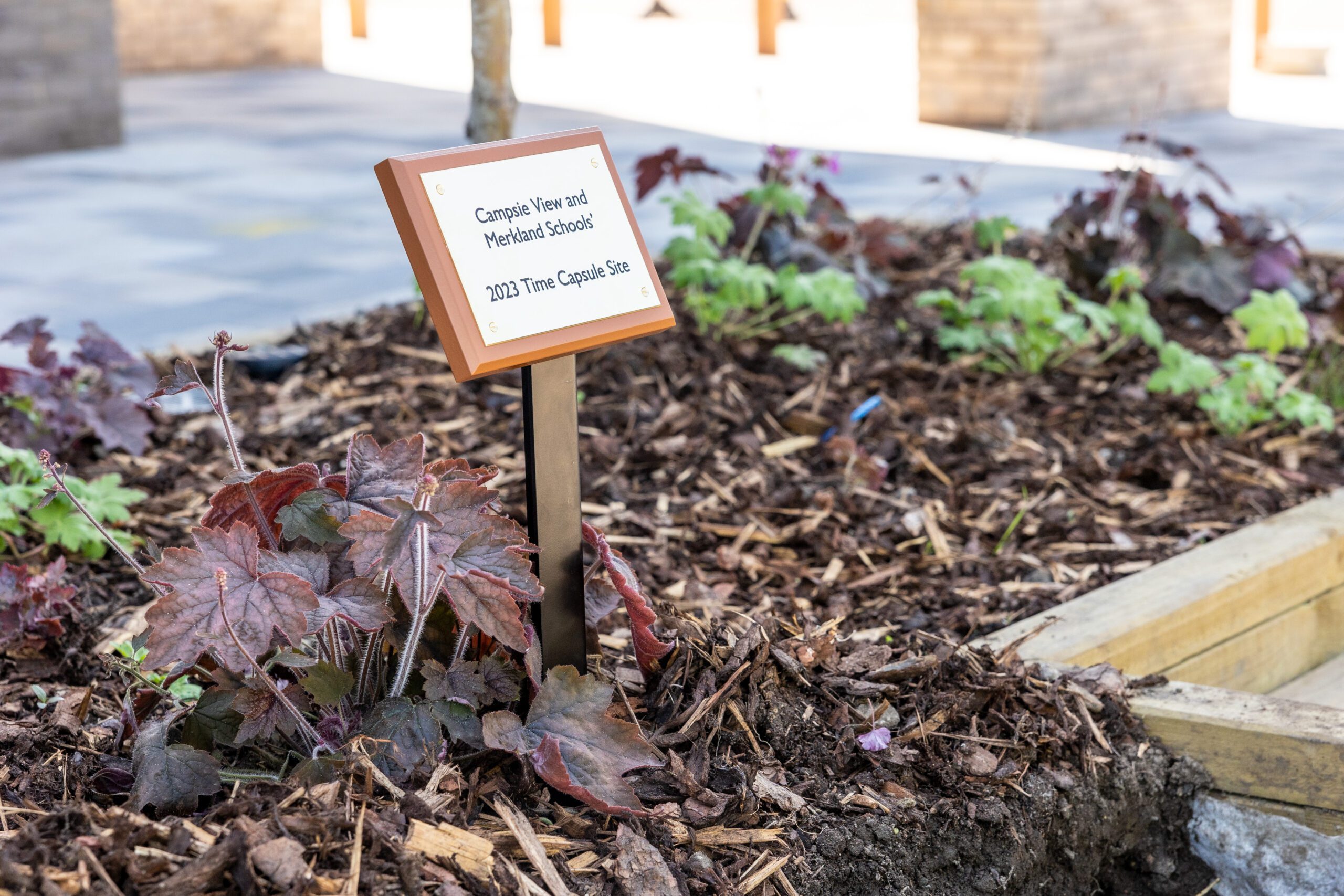 Featured Image for Delivering social value in construction: Woodland View School on McLaughlin & Harvey